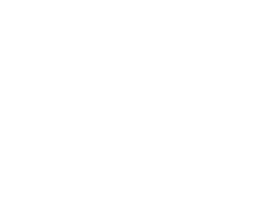 branch with leaves